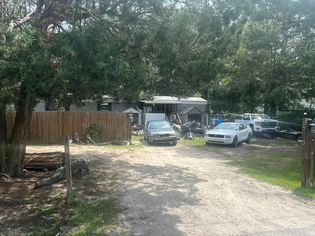 Picture 3