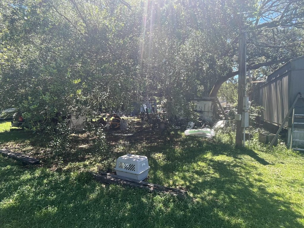 Picture 4