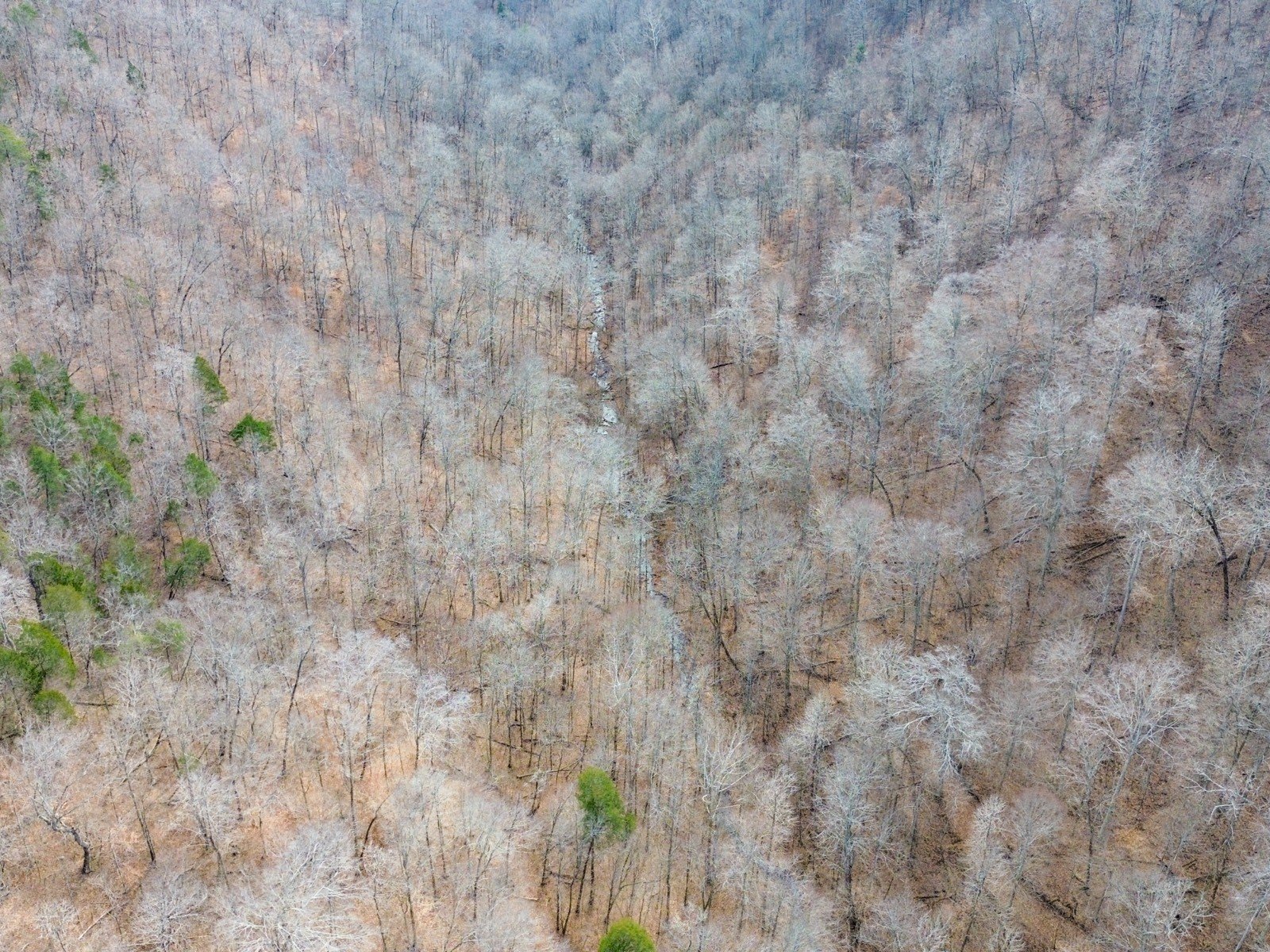Secluded Land in Elk Restoration Zone