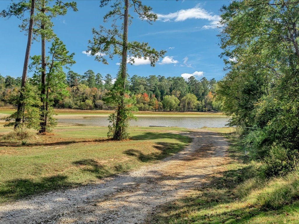 Picture 4