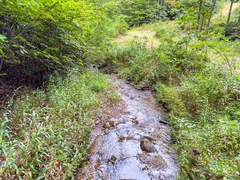 Land, Fancy Gap, VA