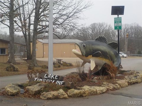 Lake Timberline Land For Sale