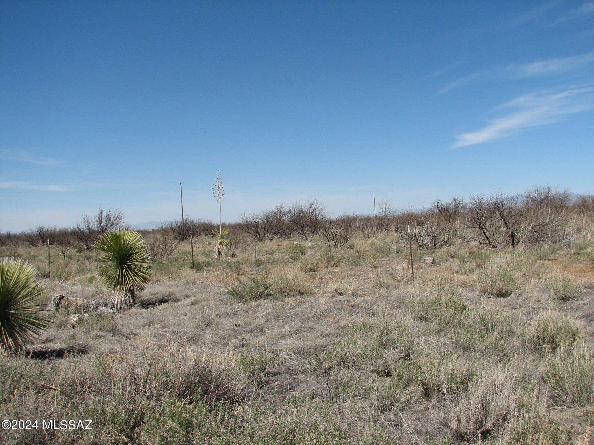 20 Acres in Pearce, AZ