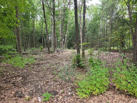 Land, Athol, MA