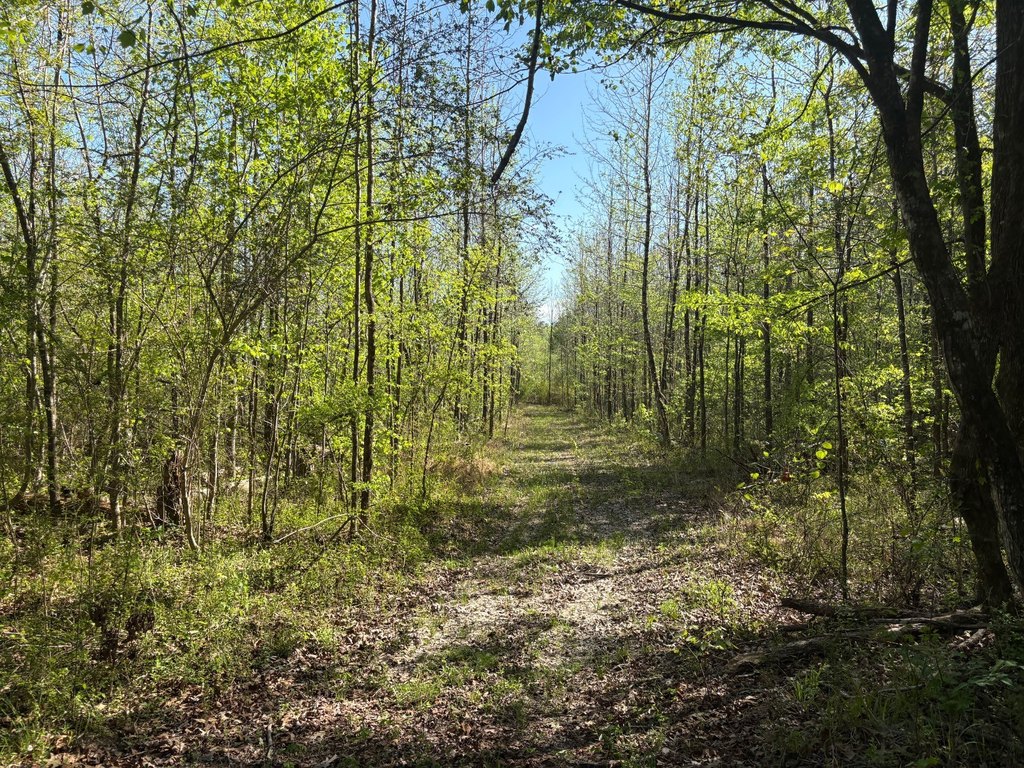 Picture 24