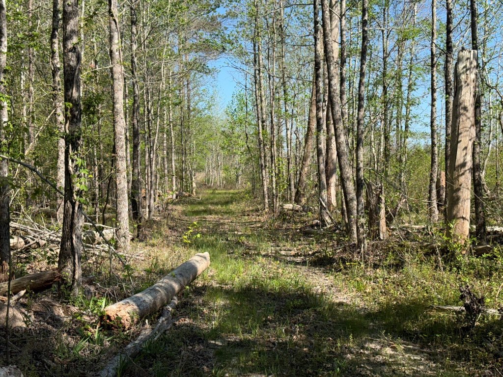 Picture 27