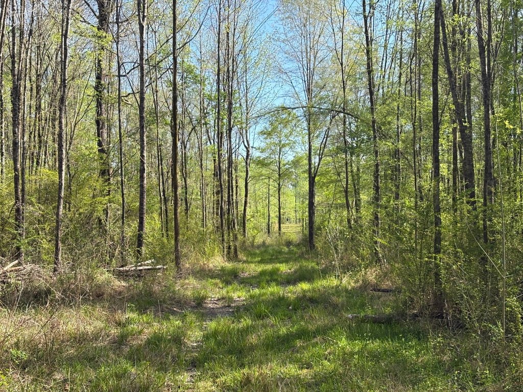 Picture 17