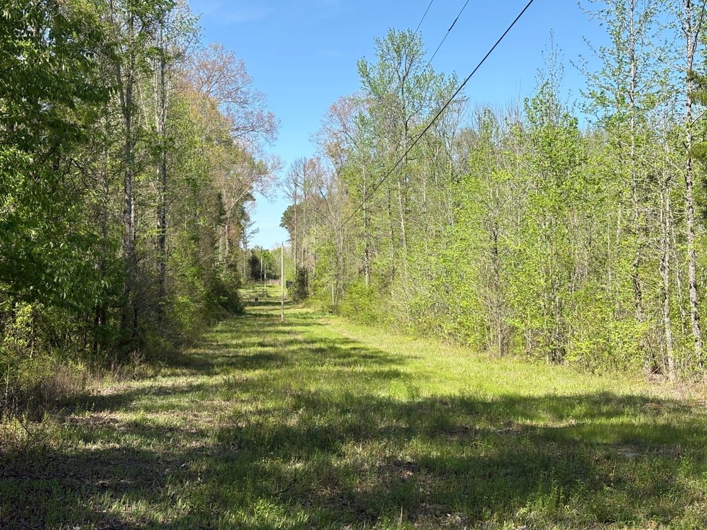 Picture 4