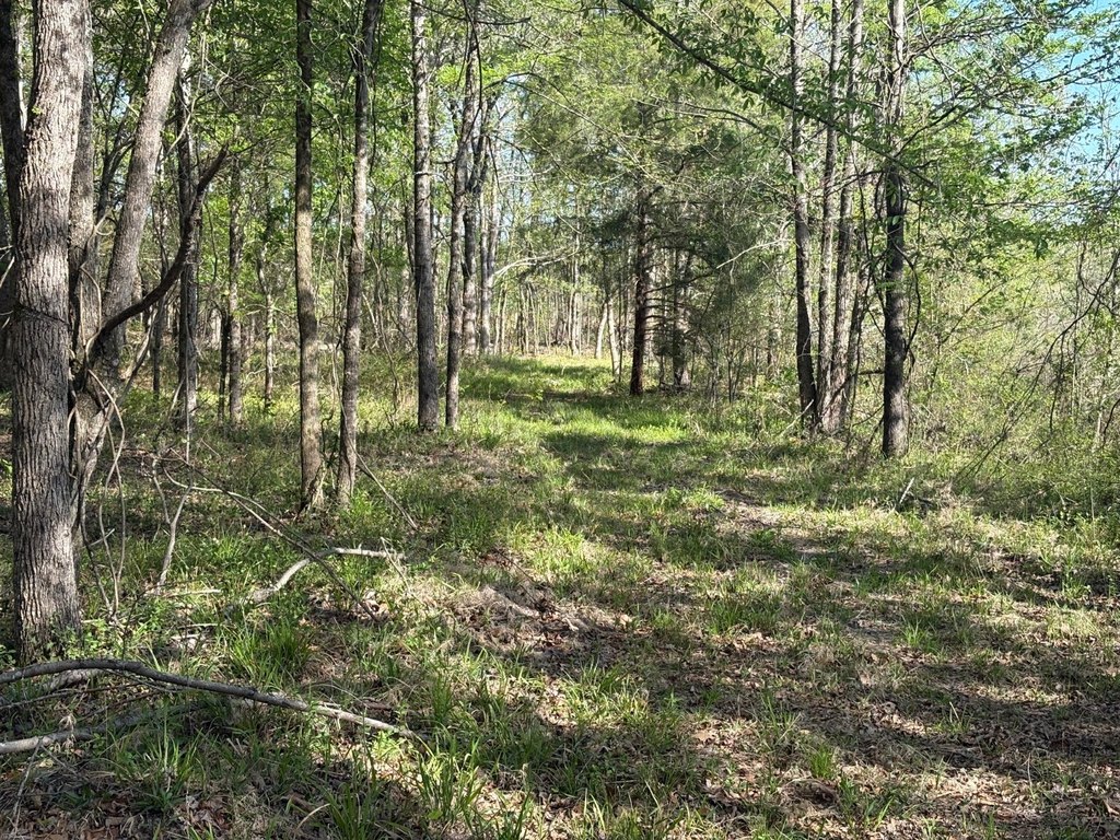Picture 29