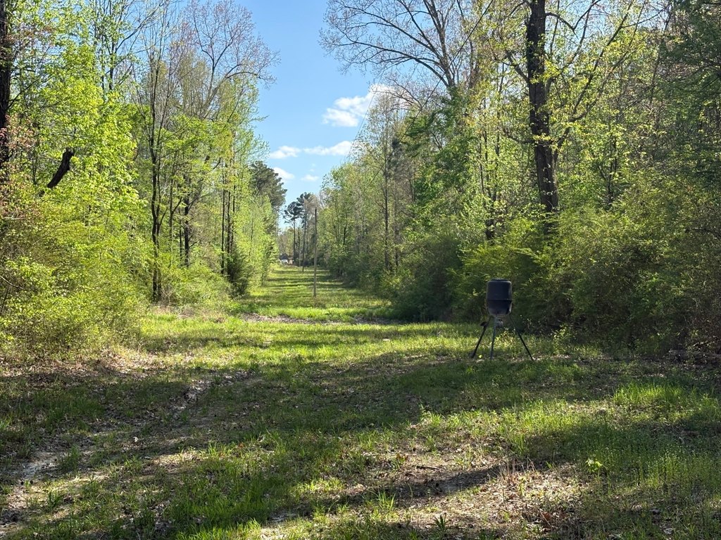 Picture 18