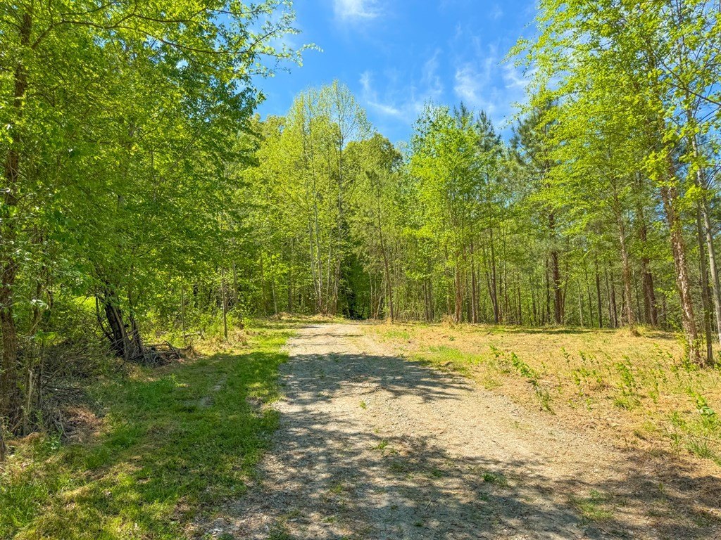 Picture 23