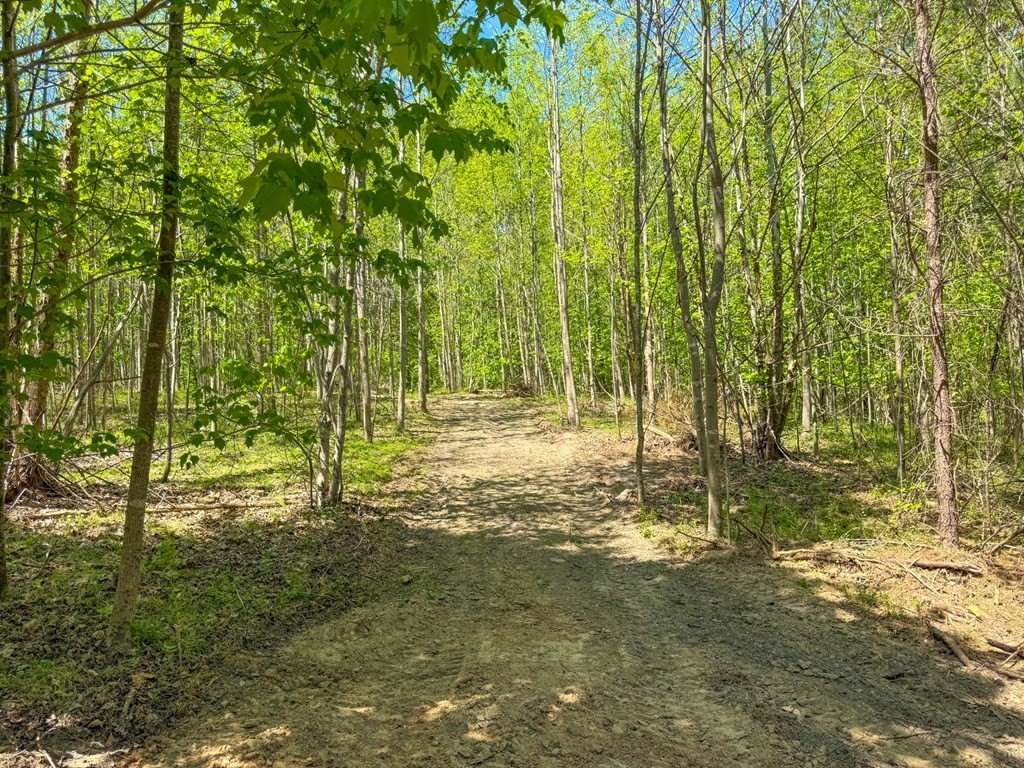 Picture 7