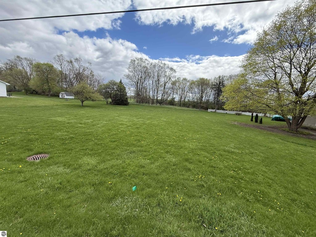 Picture 5