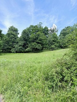 Hayesville Vacant Lot Near Lake