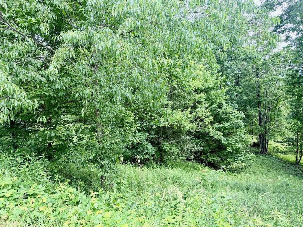 Picture 18