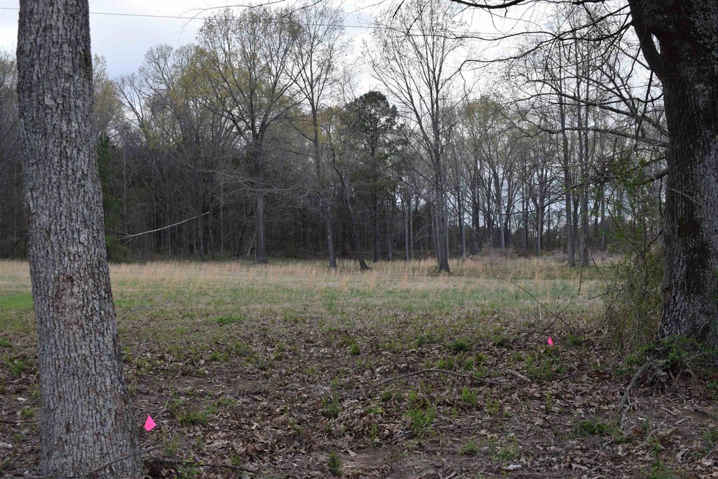 Picture 3
