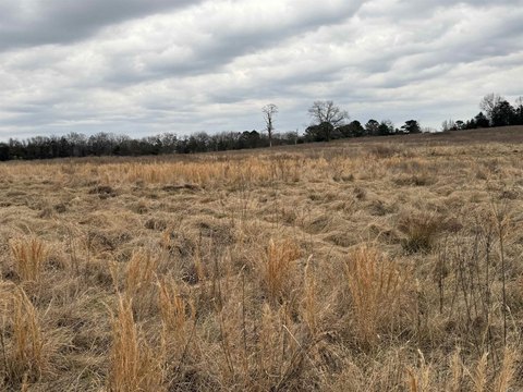 Land in Clarksville, Arkansas