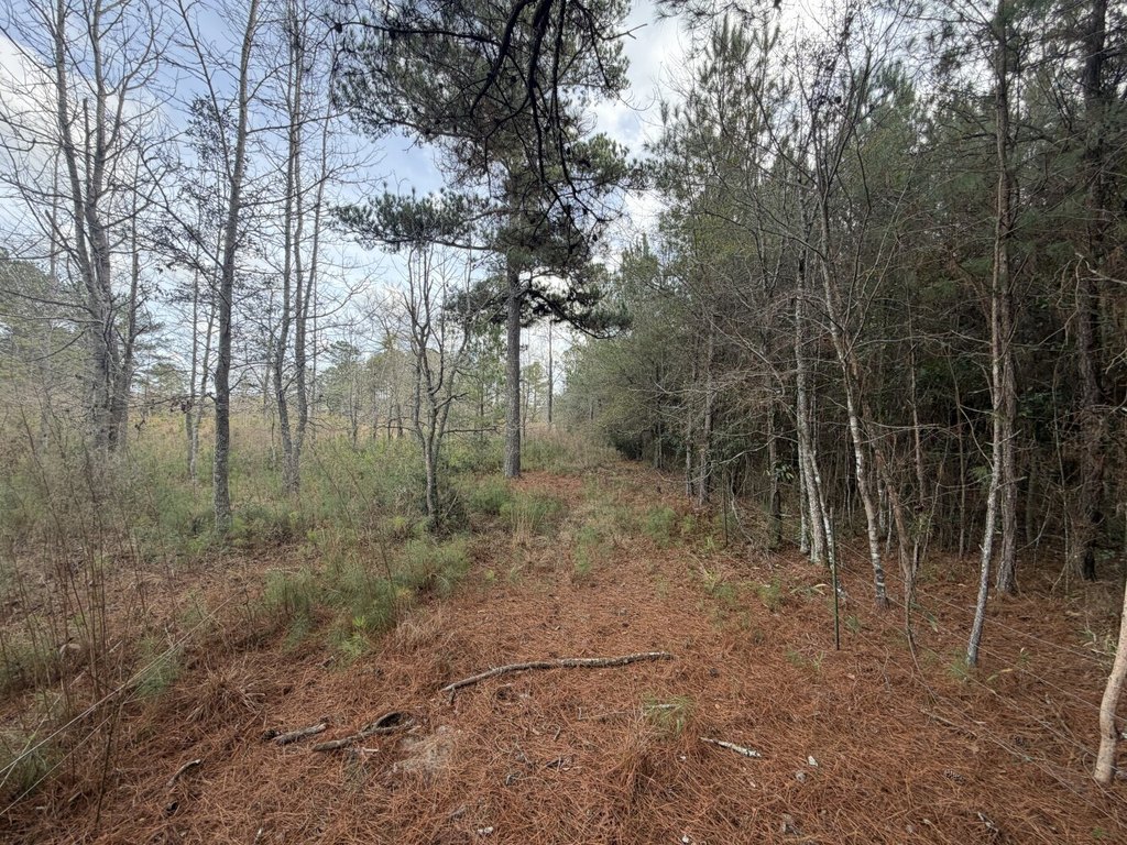 Picture 2