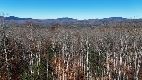 Land, Lunenburg, VT