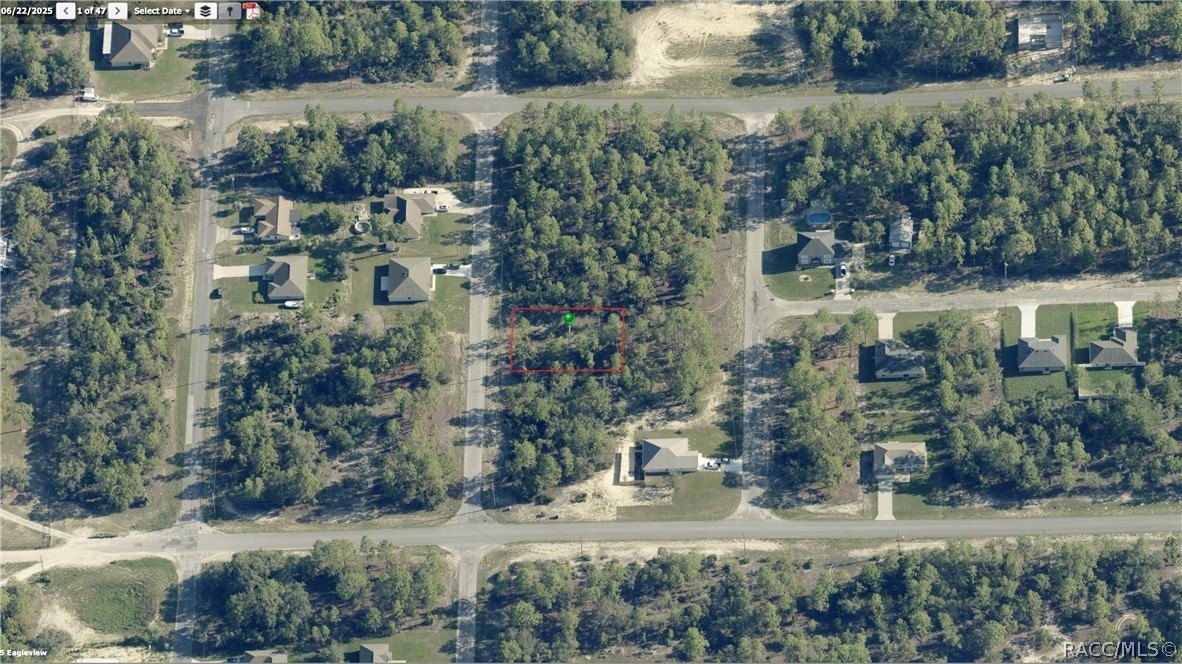 Citrus Springs Vacant Land Parcel