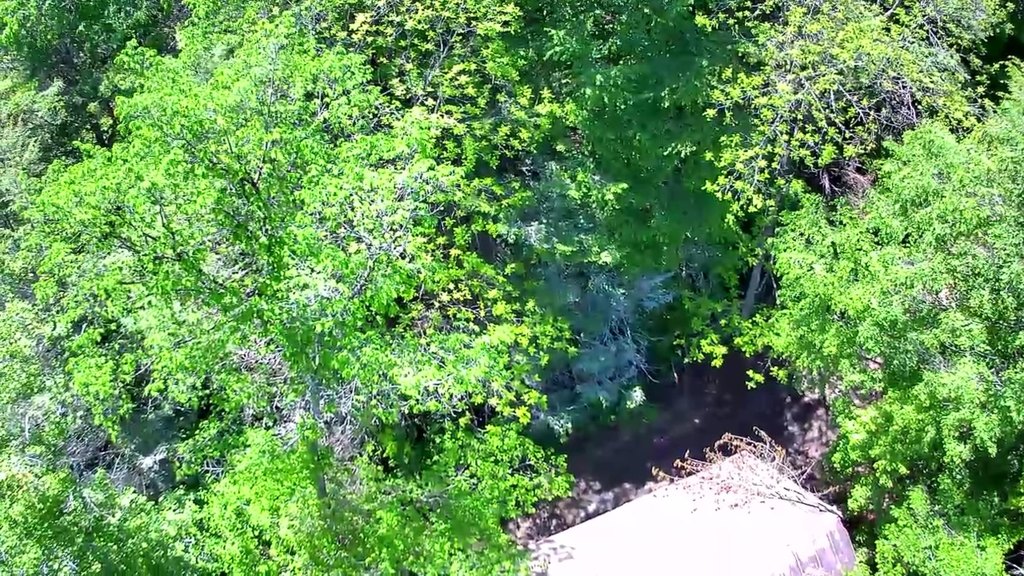 Picture 16
