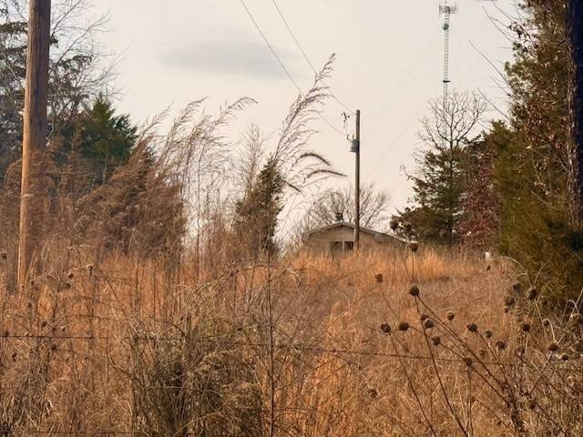 Picture 7