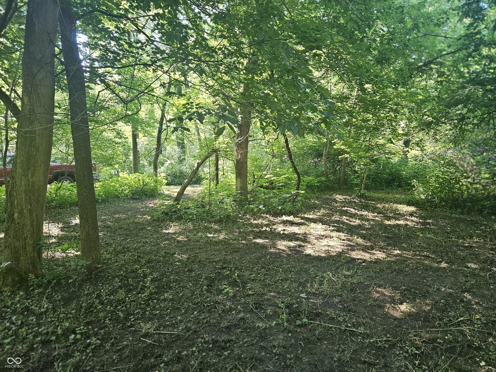 Picture 27