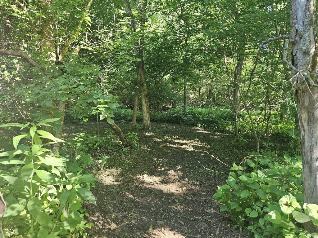 Picture 26