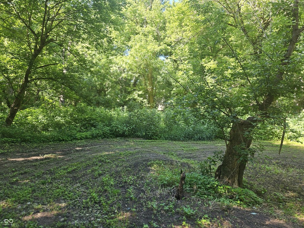 Picture 16