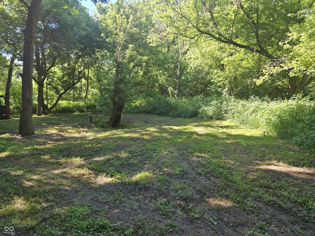 Picture 9