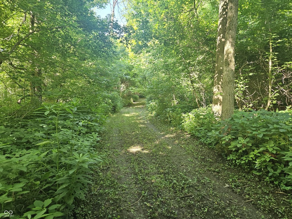 Picture 22