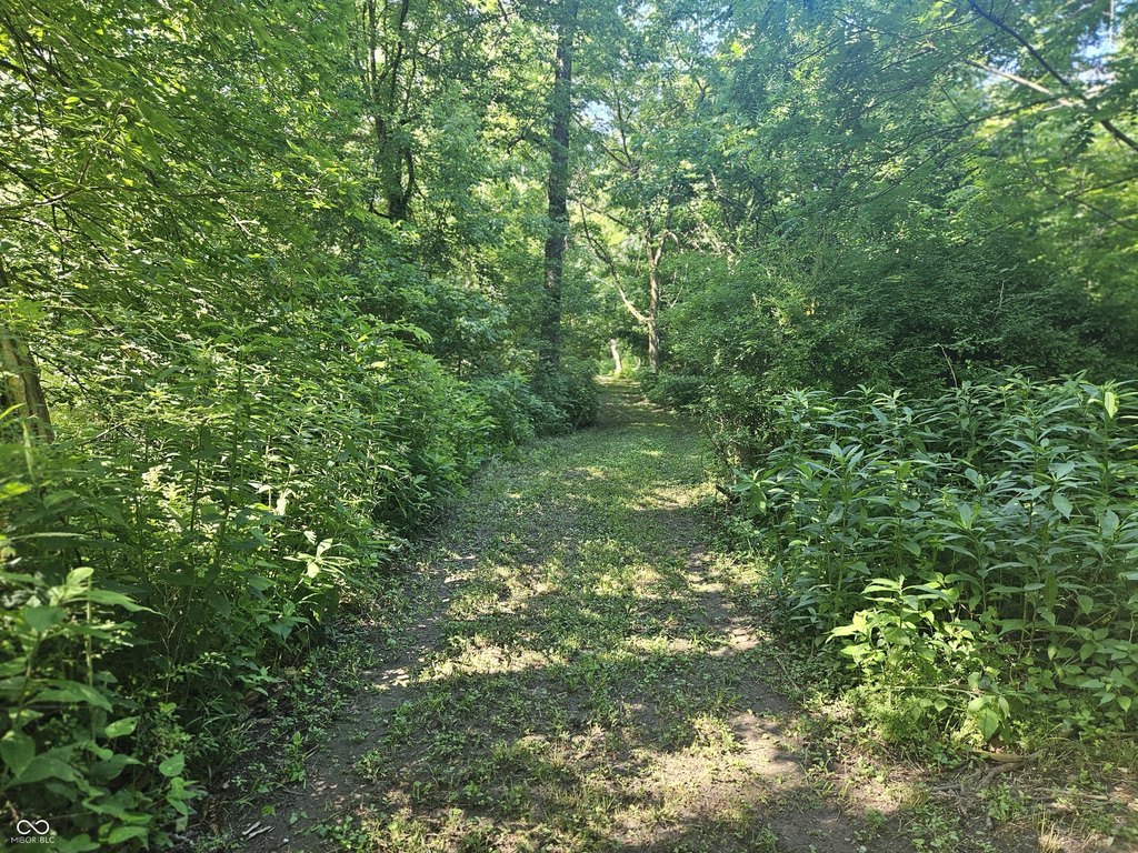 Picture 25