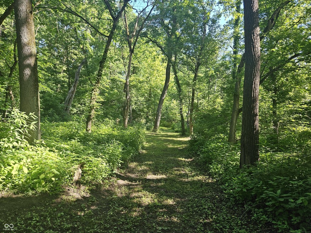 Picture 23