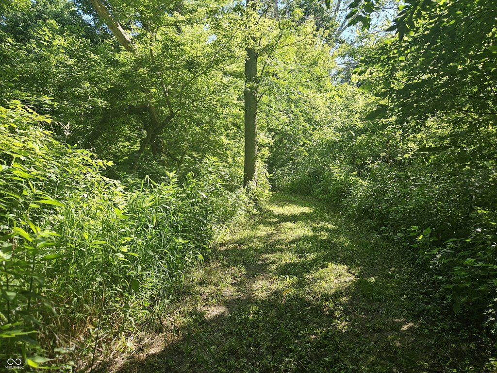 Picture 24