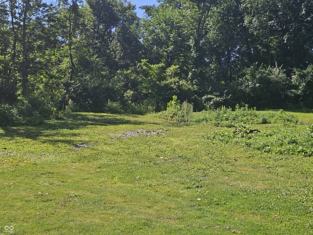 Picture 5