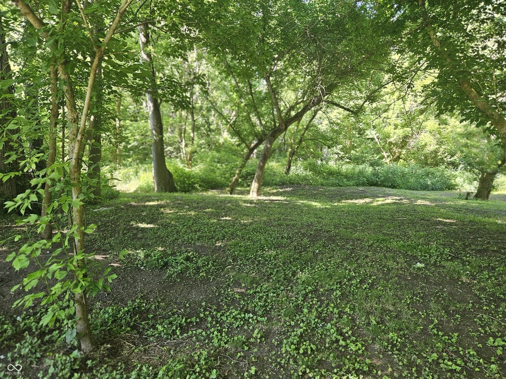 Picture 15