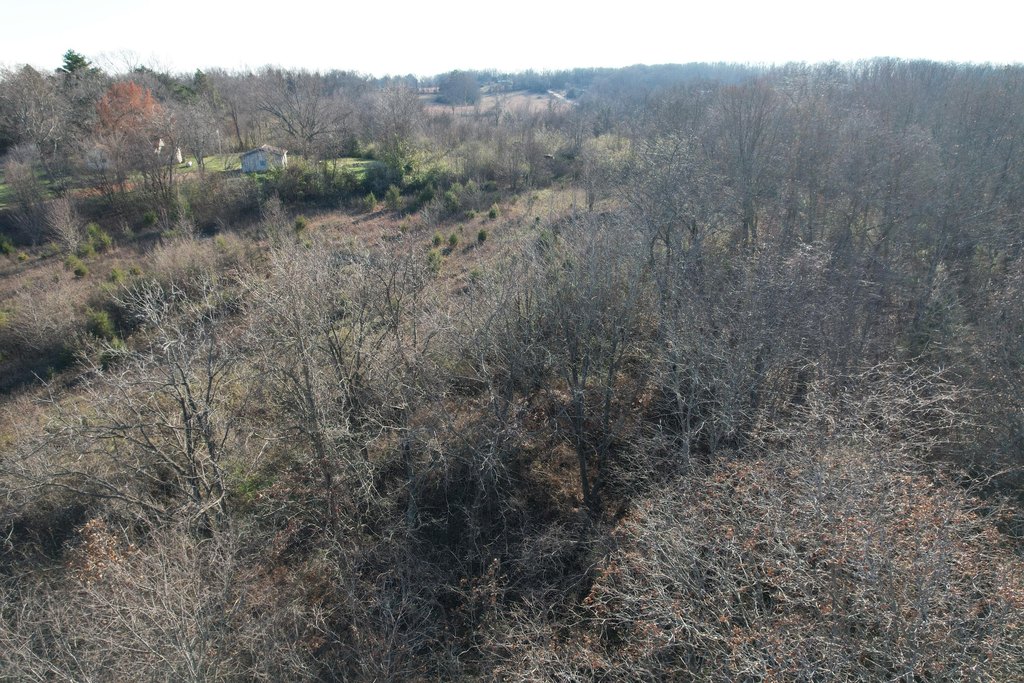Picture 18