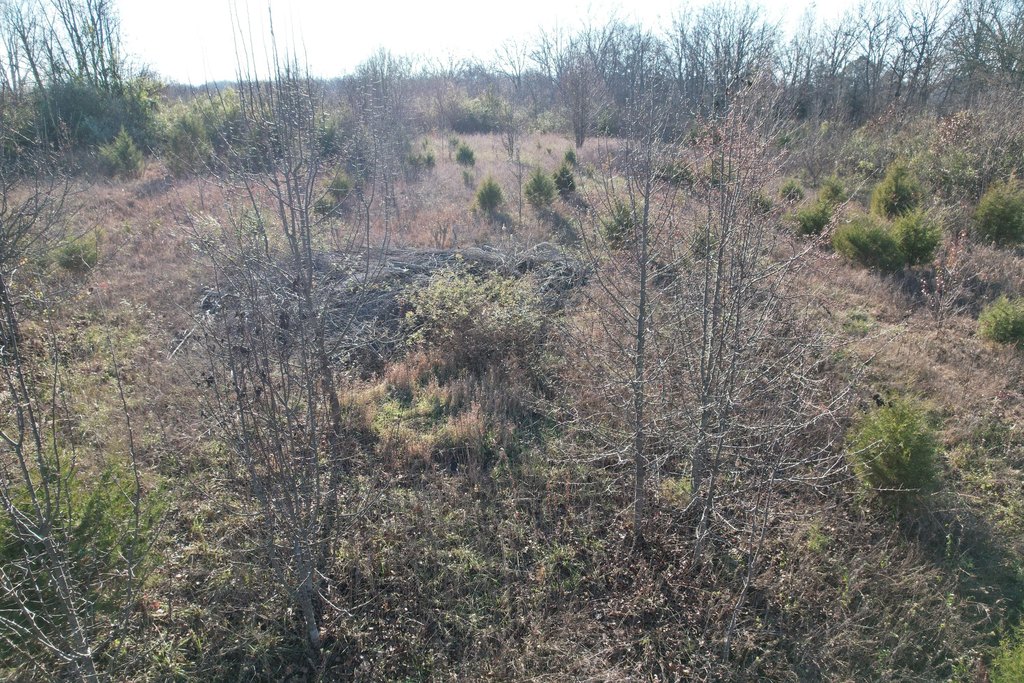 Picture 21
