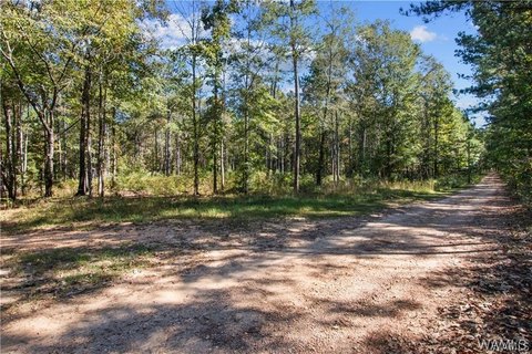 Land, Northport, AL