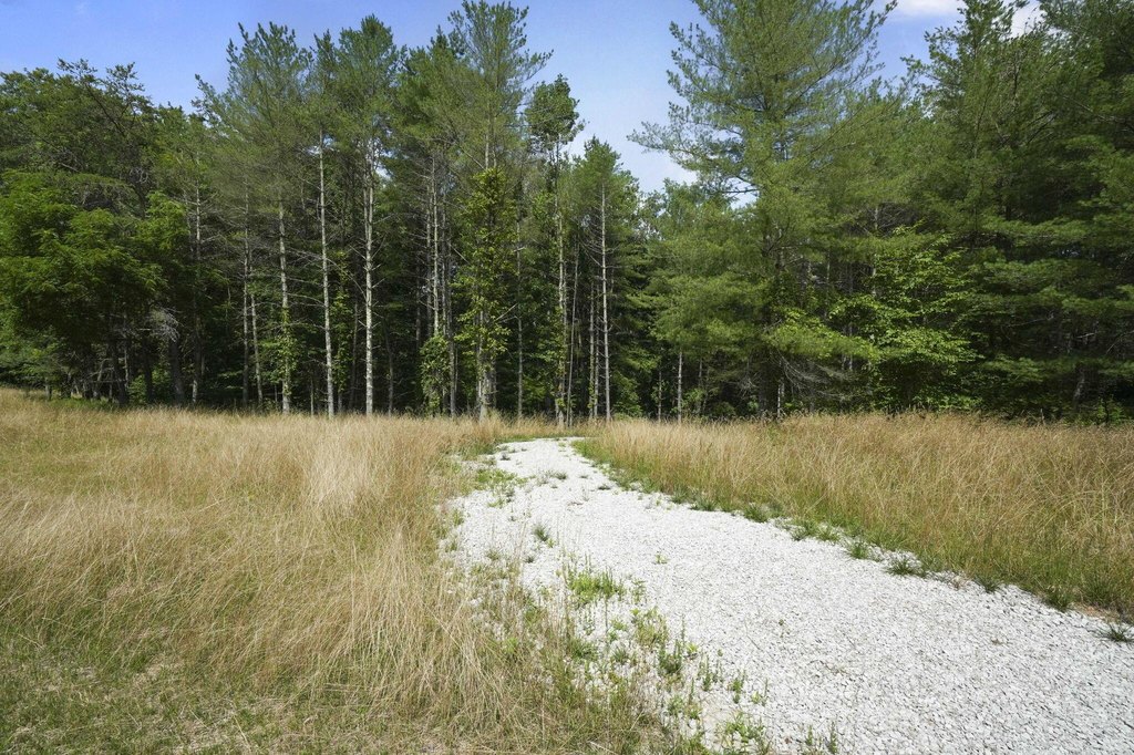 Picture 15