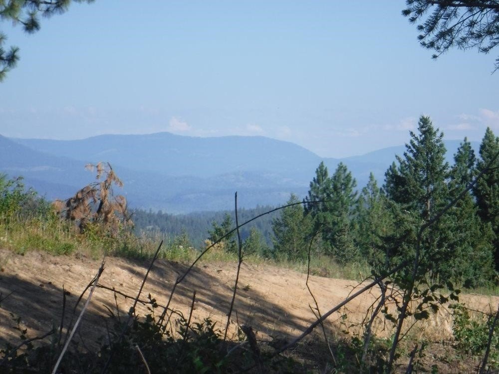 Loon Lake Land with Views