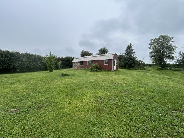 Picture 12