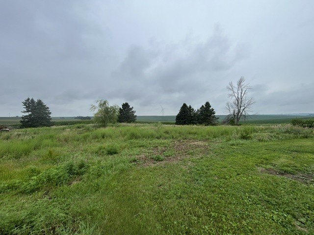 Picture 17