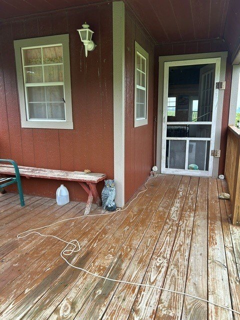 Picture 5