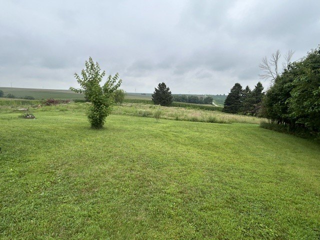Picture 18