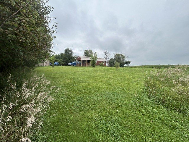 Picture 14