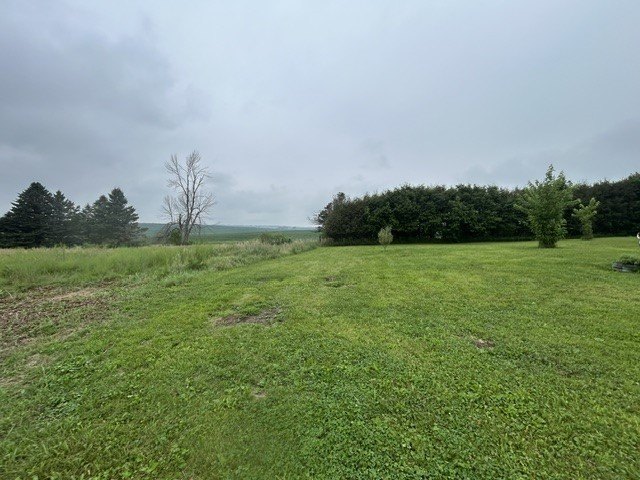 Picture 13