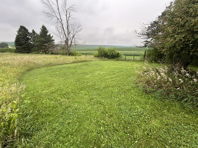 Picture 16