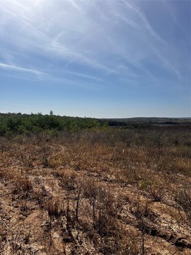 Land, Indianola, IA