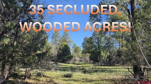 Forested Land with Meadow